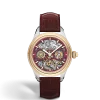 Minerva The Unveiled Secret Edizione Limitata - 58 Esemplari