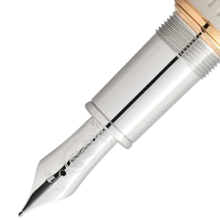 Stilografica Writers Edition Homage to Jane Austen Edizione Limitata