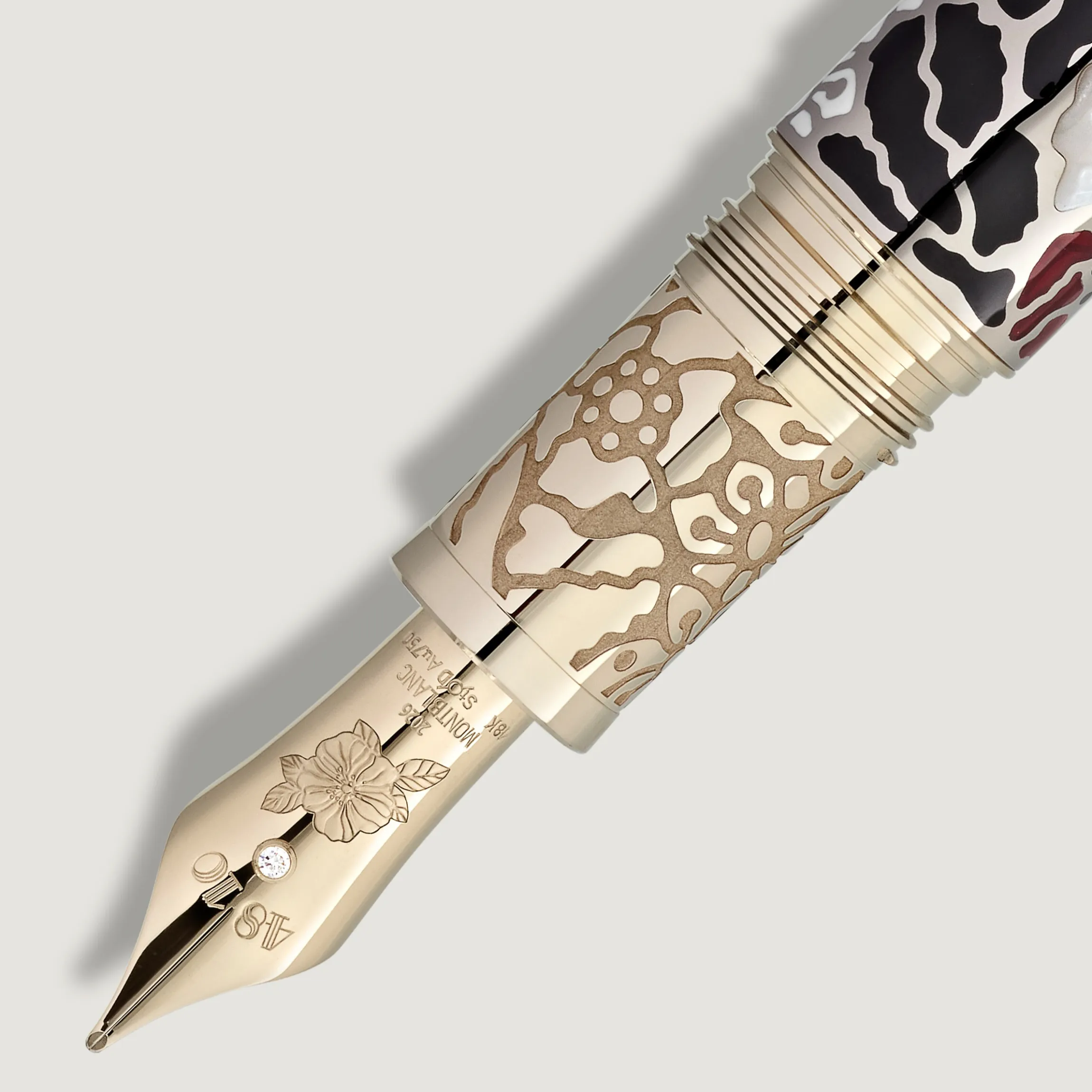 Stilografica Writers Edition Homage to Bram Stoker Edizione Limitata 8